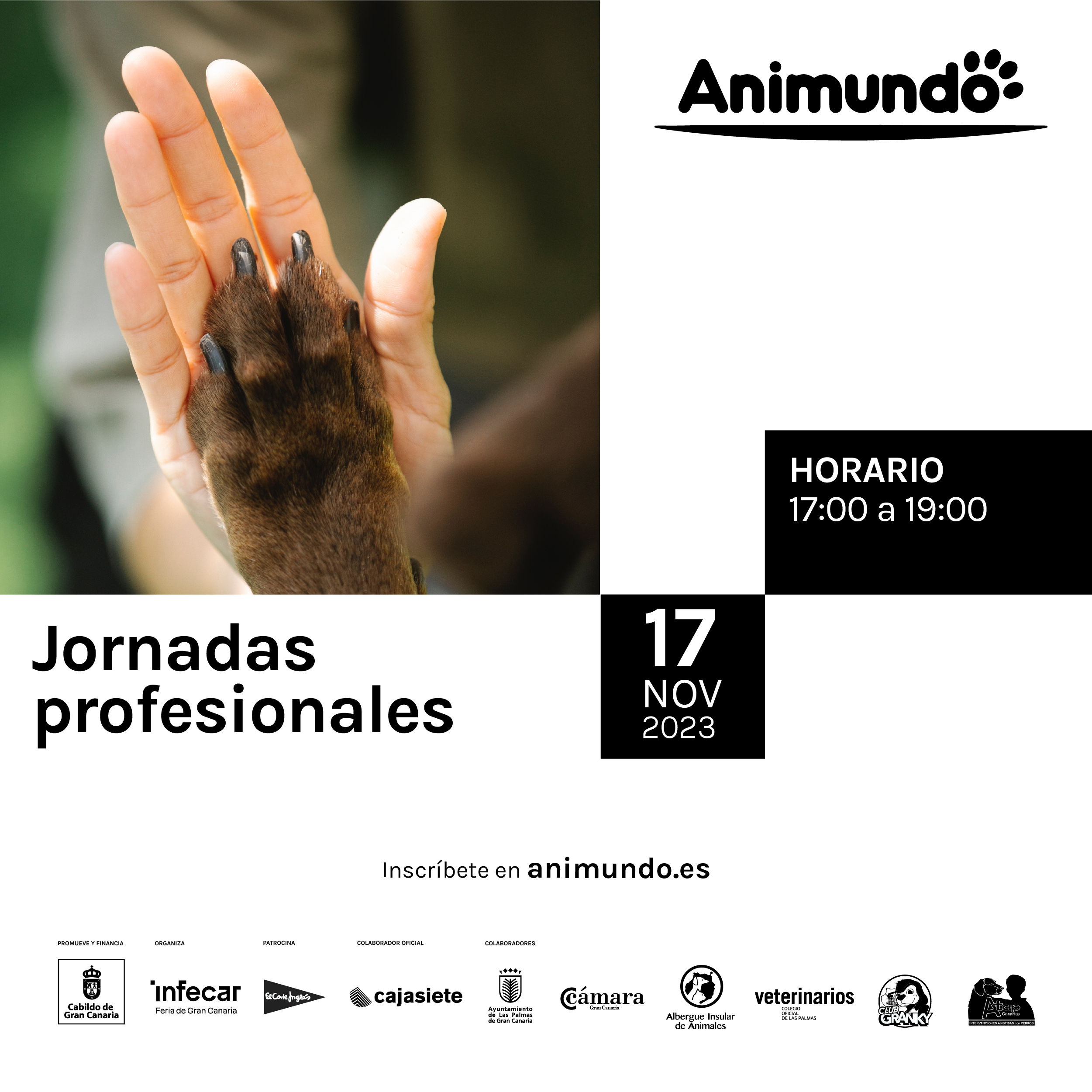 Jornada_Animundo