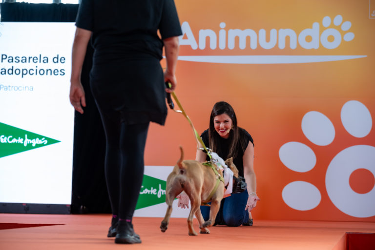 ANIMUNDO
